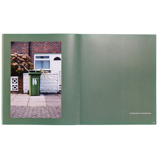 Bins - signed, limited edition book